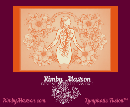 Visceral Manipulation — Kimby Maxson, Beyond Bodywork LLC